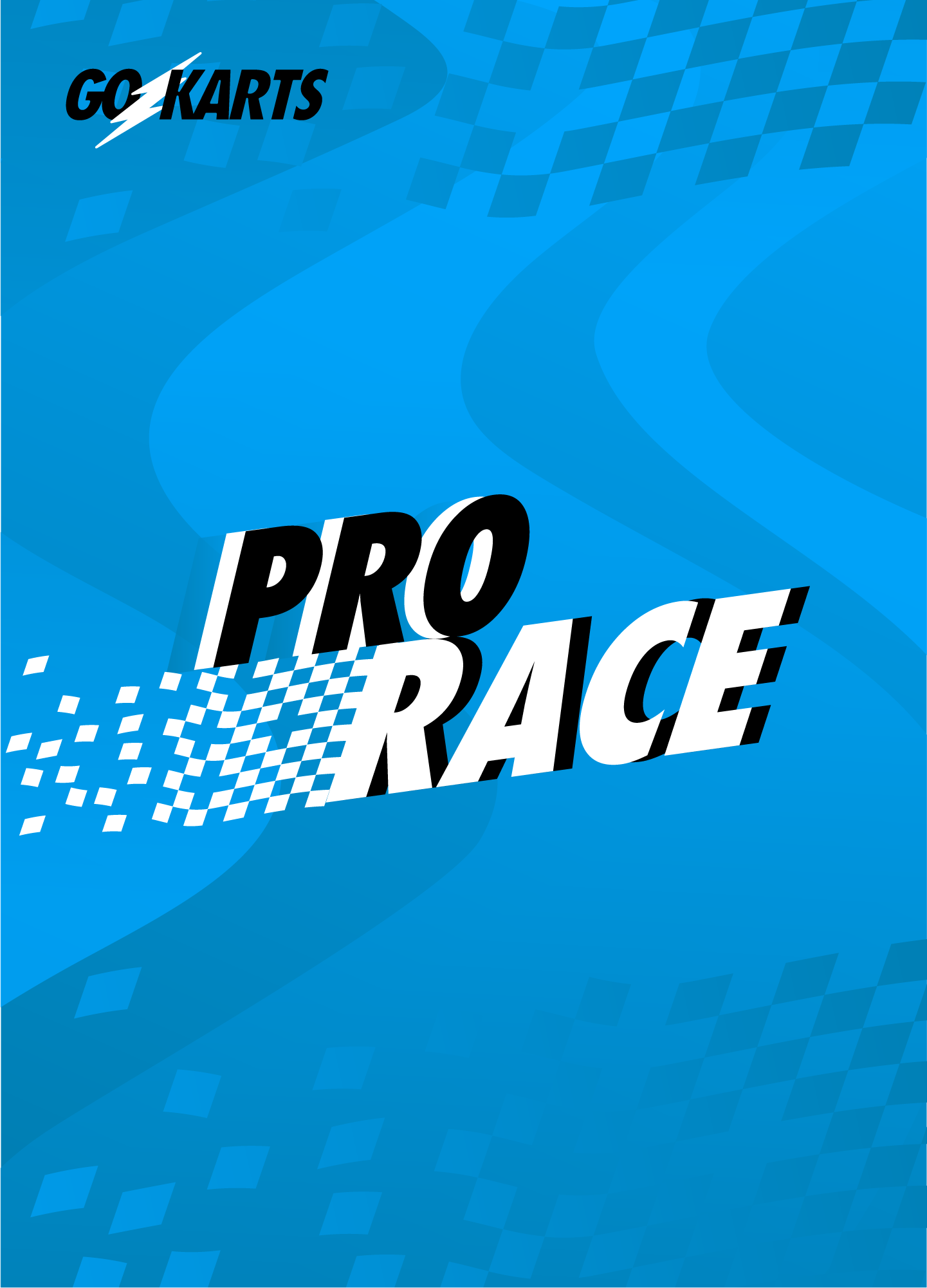 Go Karts Pro Race - Individual Race